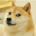 Doggo World - discord server icon
