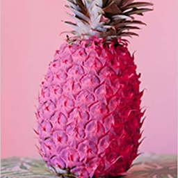 The Pink Pineapple - discord server icon