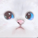 Katzenstube 🐈 - discord server icon