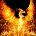 Rising Phoenix - discord server icon