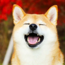 Dank Floofers - discord server icon