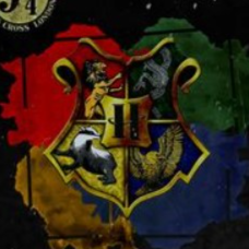 Hogwarts Cadılık Ve Büyücülük Okulu - discord server icon