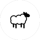 Sheep Gang - discord server icon