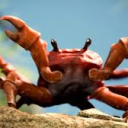 The Crab Hub - discord server icon