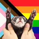 suffering ferret holders - discord server icon