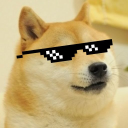 Doge Fan Club - discord server icon