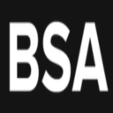Bedrock SMP Association - discord server icon