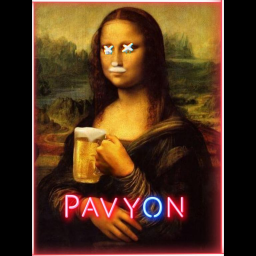 PAVYON - discord server icon