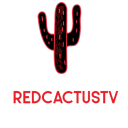 Cactus Community - discord server icon