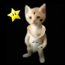 catcord - discord server icon