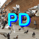 Pigeon Dankers - discord server icon