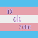 *+:｡.｡ no cis zone ｡.｡:+* - discord server icon