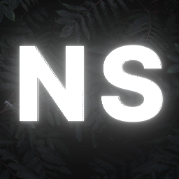 NS Leaks - discord server icon