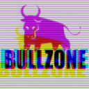 Bullzone Investors - discord server icon