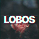 LOBOS | Sorteios & Jogos - discord server icon