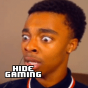 Hide Gaming - discord server icon