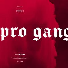 The Pro Gang - discord server icon