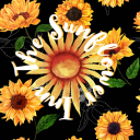 Sunflower Inn - discord server icon
