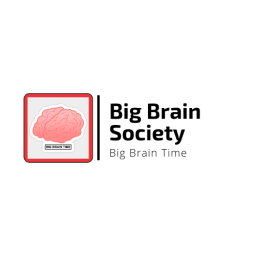 Big Brain Society's Server - discord server icon