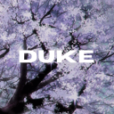 /Duke - discord server icon