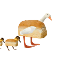 duck bred family - discord server icon