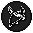 TRTLE | Esports™ - discord server icon