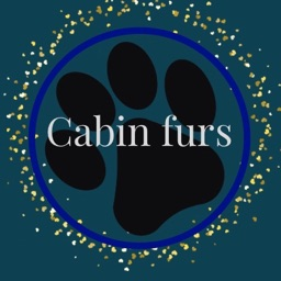 Cabin Furs Being deleted - discord server icon
