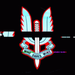 SAS/USMC 1ST Raider Regiment - discord server icon