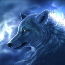 Arctic Wolf Academy - discord server icon