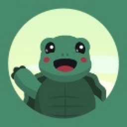 SkinFlip Turtles - discord server icon