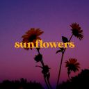 🌻 sunflowers - discord server icon
