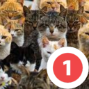 KHOCENG CAFE - discord server icon