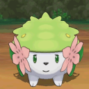 Shaymin.Garden - discord server icon