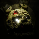 • Springtrap's Pizzaria | FNaF • - discord server icon