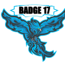 Badge 17 - discord server icon