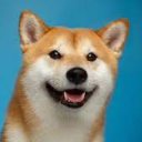 Dog Verse - discord server icon