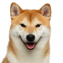Doge Bot Official Server! - discord server icon