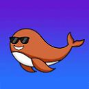 Whale Wallet Society 🐳🚀 - discord server icon