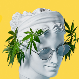 The Ganja Headspace - discord server icon