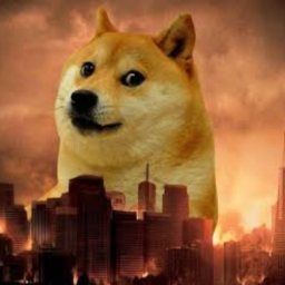 Doge Not Taken - discord server icon