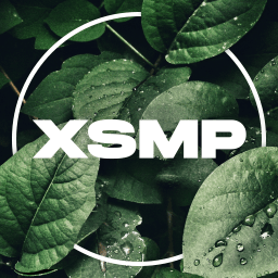 Xictul’s SMP - discord server icon