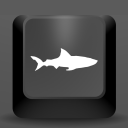 Press shark to play - discord server icon