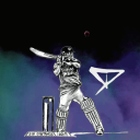 CRICKET MULTIVERSE - discord server icon