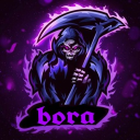 Team Bora - discord server icon