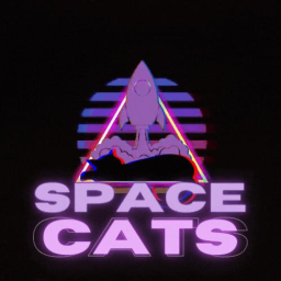 spacecats - discord server icon