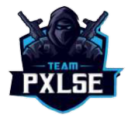 Team Pxlse - discord server icon