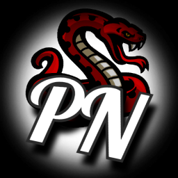 Python Network - discord server icon