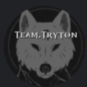 Team Tryton - discord server icon