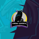 Fornsy Esports - discord server icon