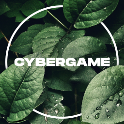 CybergamesV2 - discord server icon
